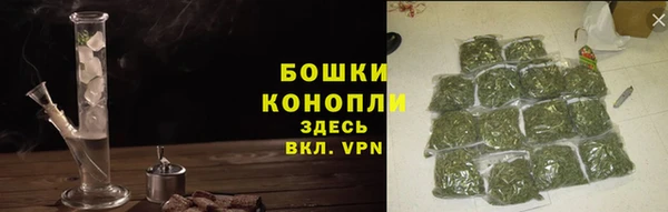 соль ск Абаза