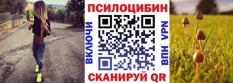 Псилоцибиновые грибы мицелий  Шахты 