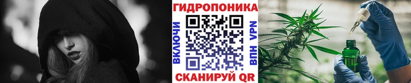 OMG ONION  Шахты  Шишки марихуана индика  закладка 